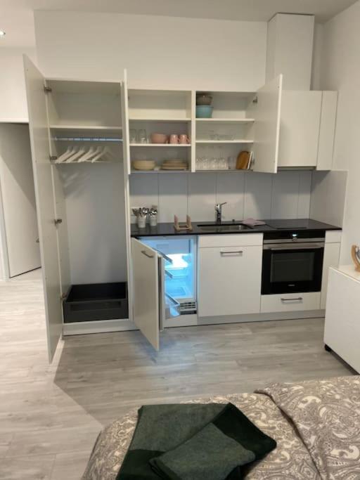 Studio In Neuem Efh Elsau Экстерьер фото