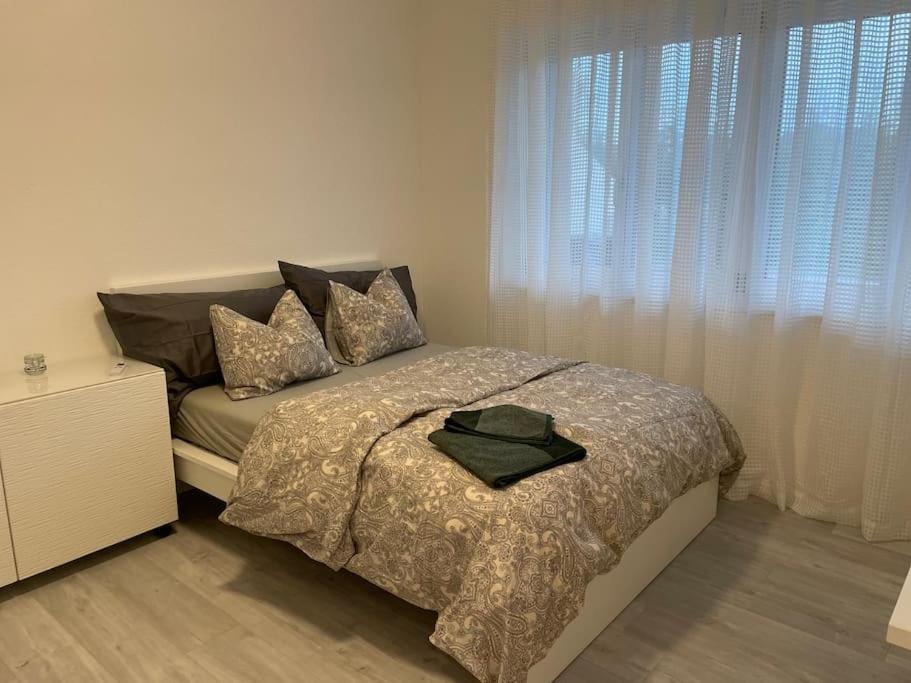 Studio In Neuem Efh Elsau Экстерьер фото